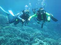 Divers