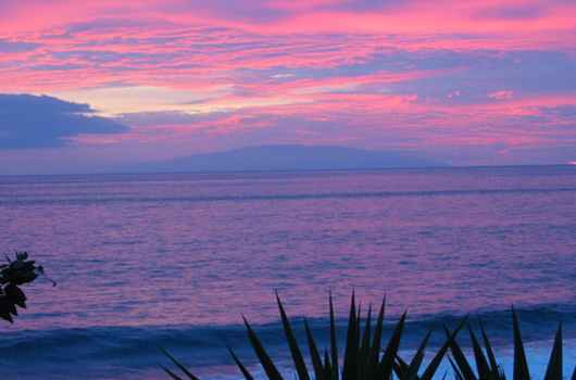 Sunset